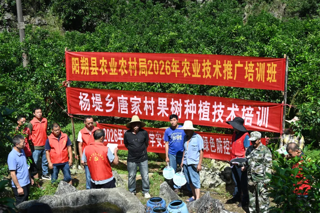 鍥剧墖1